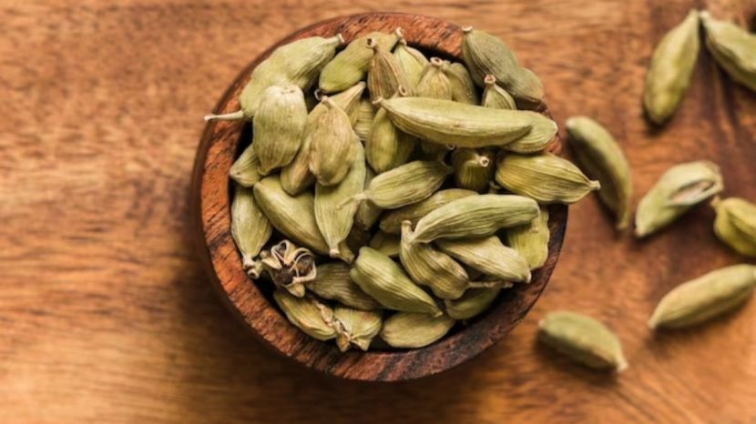 Cardamom Farming