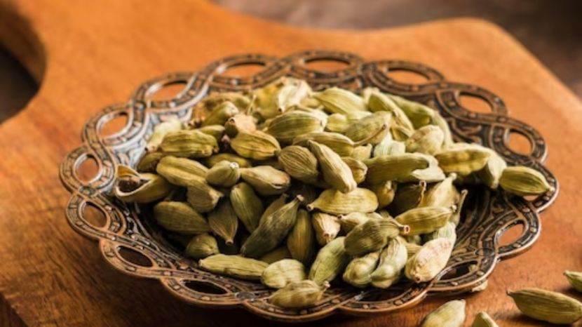 Cardamom Farming