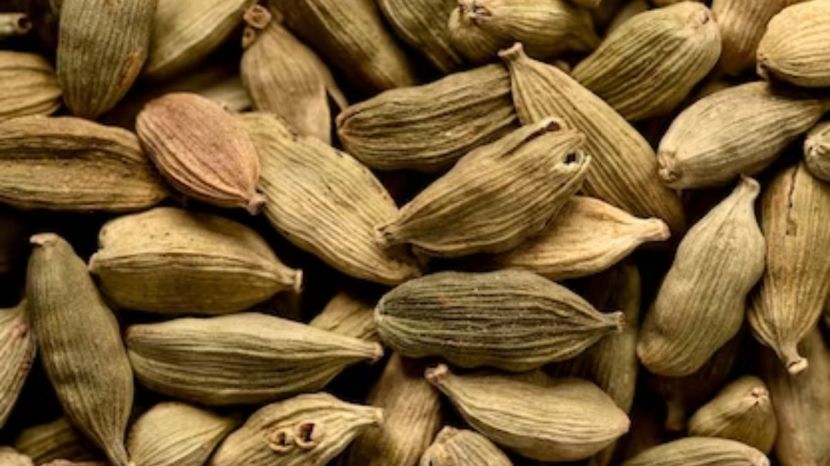 Cardamom Farming