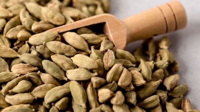 Cardamom Farming