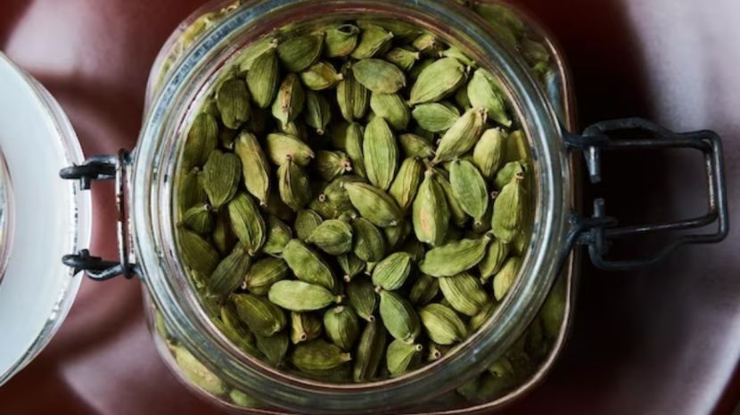 Cardamom Farming