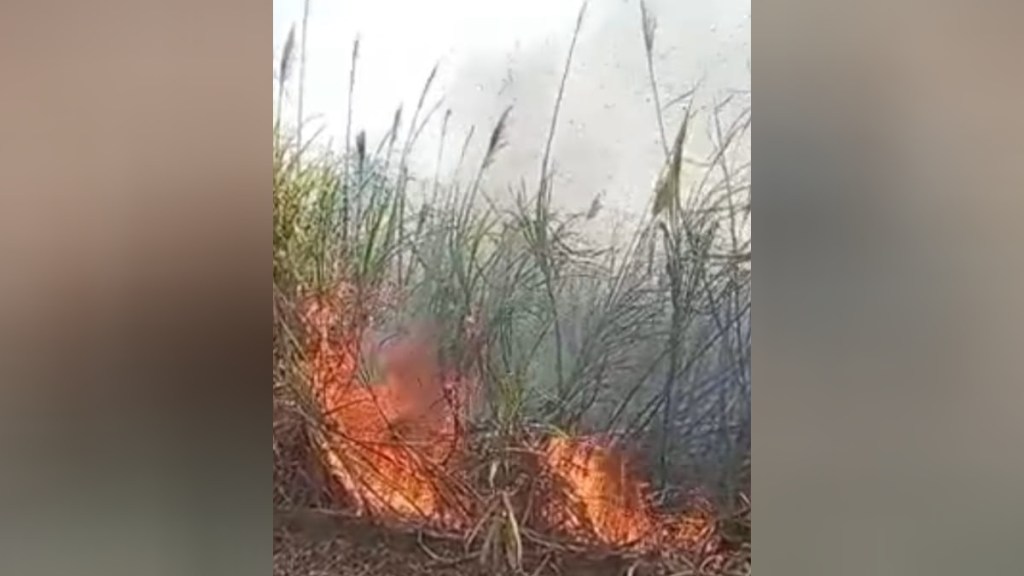 40 acres of sugarcane burnt down in Herwad village