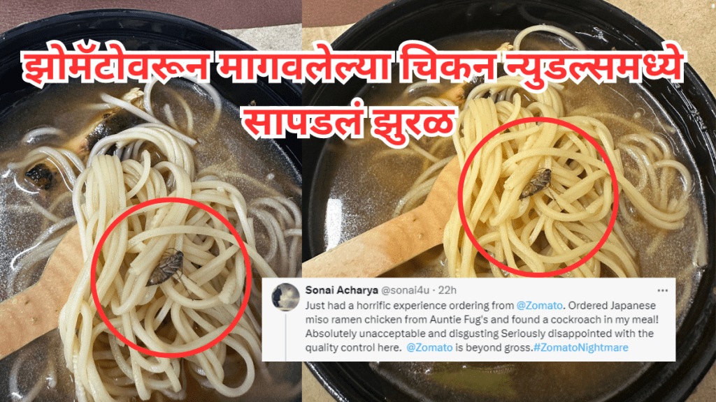 Disgusting Woman finds cockroach in her Zomato order, company responds we are sorry to hear about the unfortunate incident