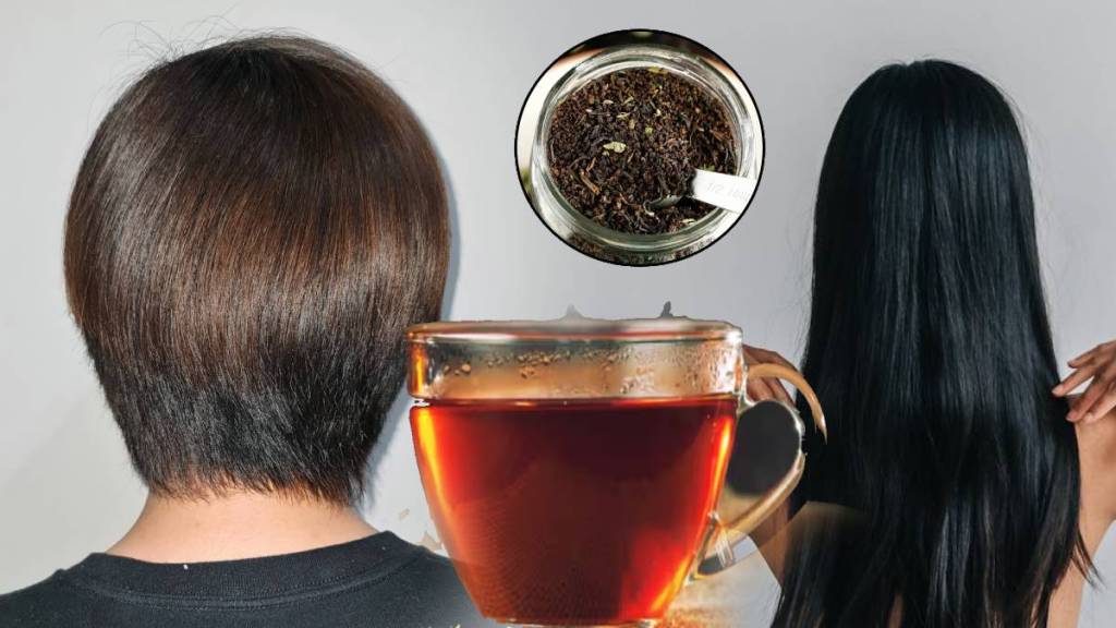 Dark Black Tea Rinse For Hair Growth Shiny Hair How To Use Chai For Hair Growth Follow These Easy Steps Before & After Shower