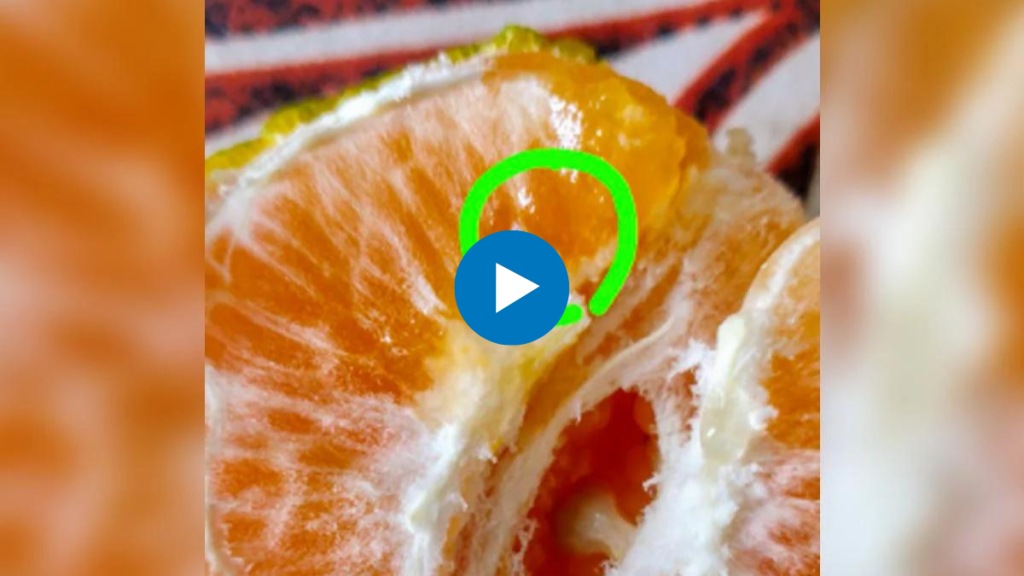 Man finds worm crawling in orange he bought from Zepto Company issues refund