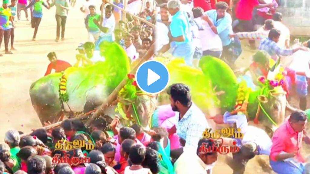 Jallikattu Bailgada Sharyat Bull angry away