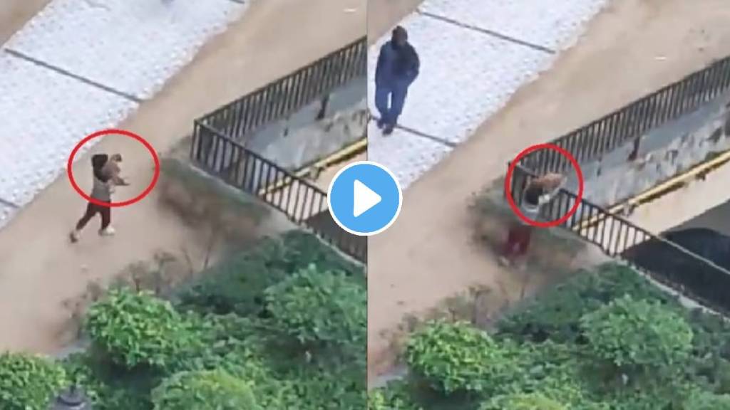 7-year-old boy throws puppy from 20 feet in Noida, video viral