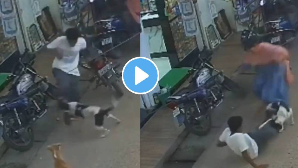 Stray Dogs Chase And Attack A Boy Brave Lady Saved a Man from Street Dog shocking video