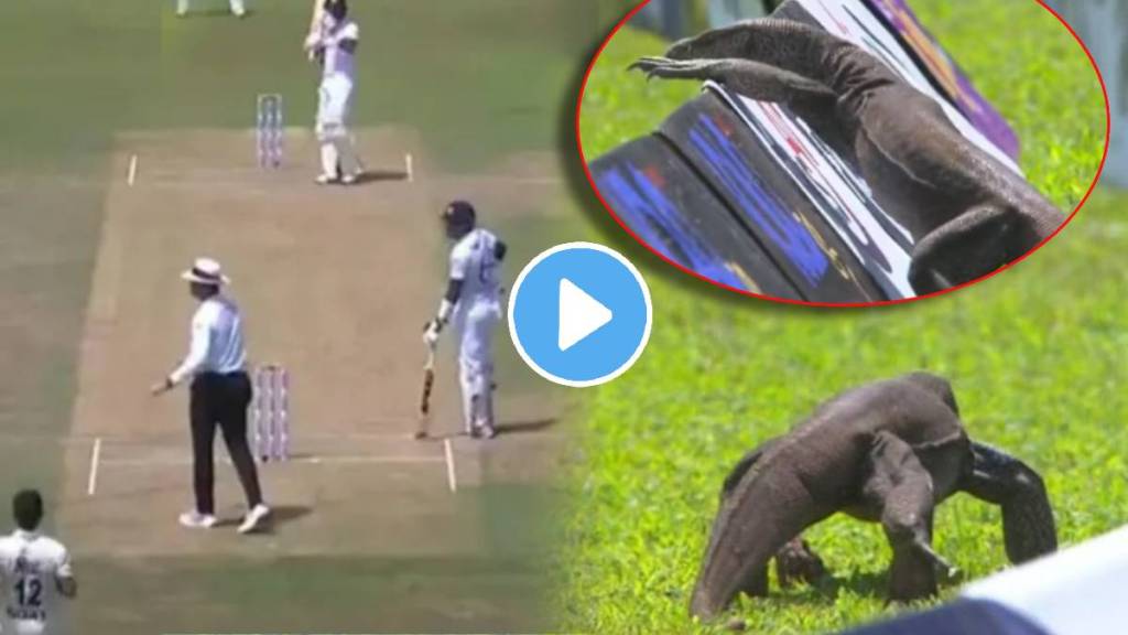 Monitor lizard enters ground to stop play between Sri Lanka and Afghanistan live cricket match