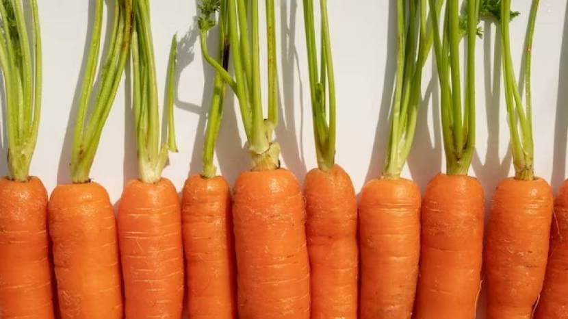 Benefits of having carrots in winter