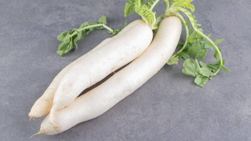 Five Benefits Of Eating Mooli Or Radish Is Useful For Your Health Must Read 