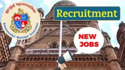 Brihanmumbai Mahanagarpalika Bharti For 38 Human Resource Coordinator location for this recruitment is Mumbai