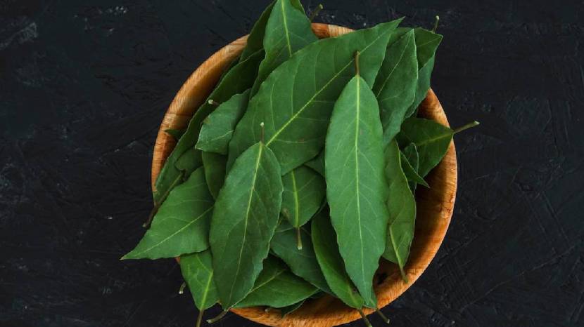 What Happens When You Consume Daily Curry leaves Here are Some Health Solution You Must Know about 