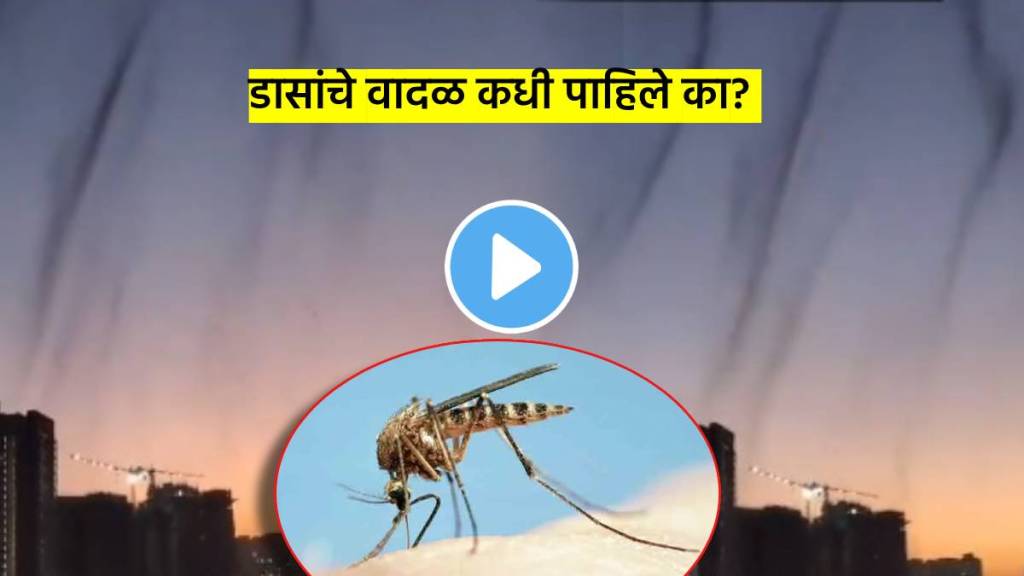 mosquito tornado near pune keshav nagar sparks outrage people feel fear after seeing the video