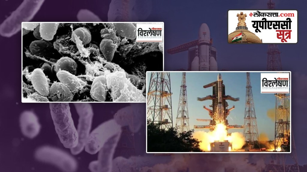 bubonic plague, gslv rocket nicknamed naughty boy