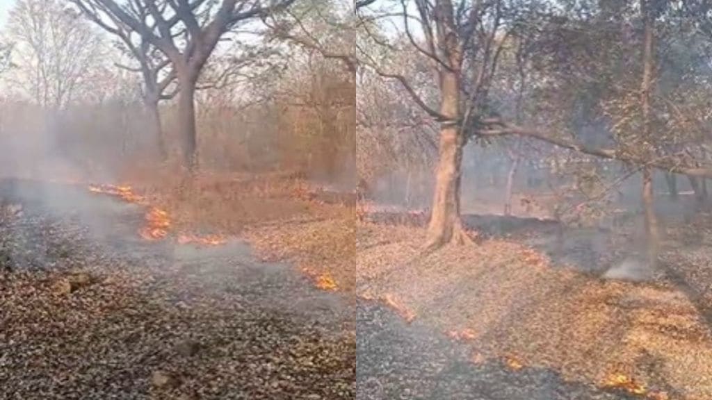 Wildfire in Deccan College premises