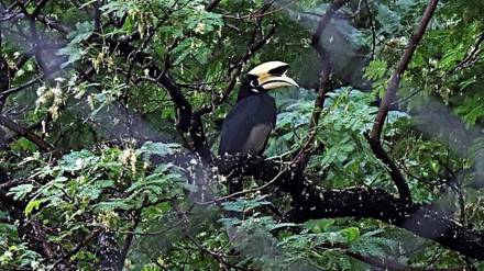 bird park in nagpur from the concept of union minister nitin gadkari cwb