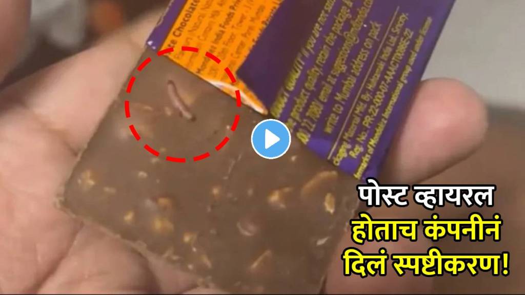 cadbury dairy milk crawling worm news marathi