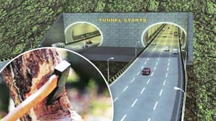 235 trees axed Thane-Borivali twin tunnel sanjay gandhi national park environment