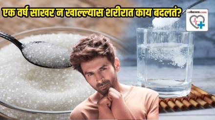 If You Skip Sugar Jaggery All Sweets What happens to your body on a no-sugar diet for a year like Kartik Aaryan ft Chandu Champion