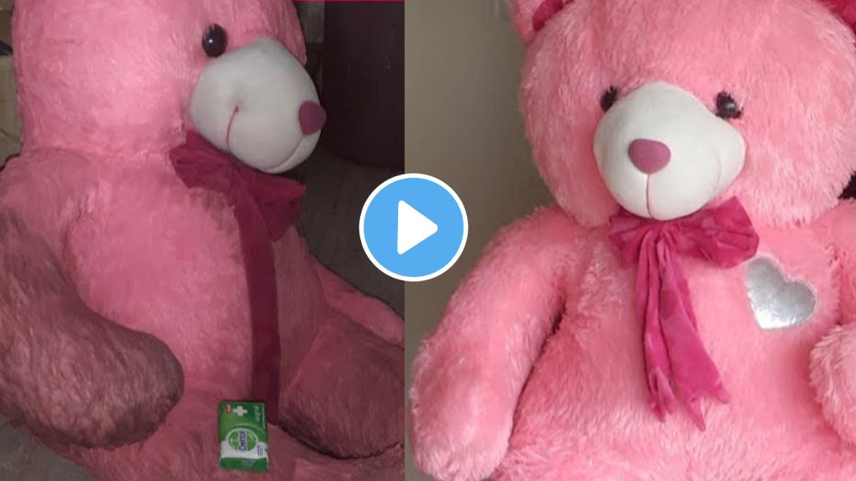 Teddy Day 2024, Valentine Week 2024: Know Here How To Clean Teddy Bear 