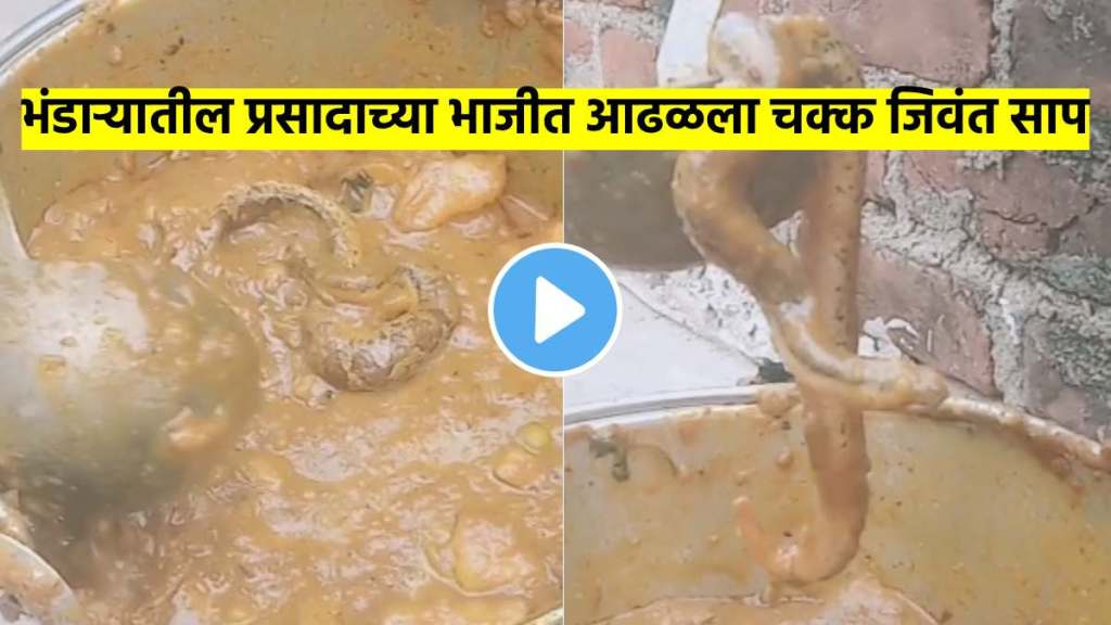 snake found in Bhandara food