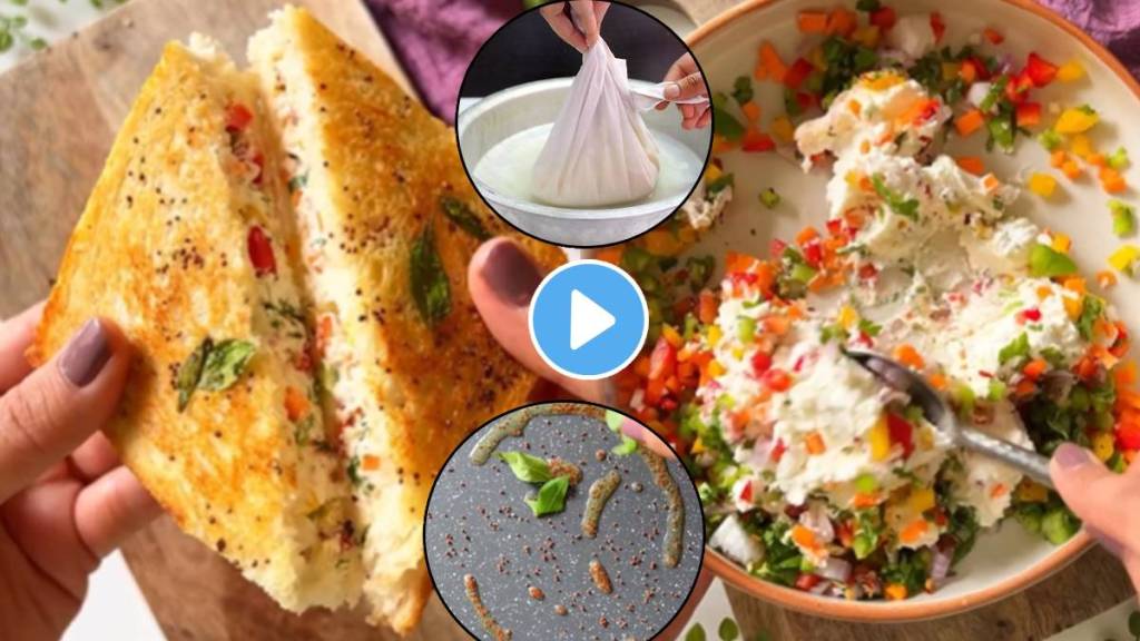 One Cup Hung Curd Dahi Tadka Sandwich Cheese At Home How To Get Perfect Grill Like effect On Tawa Marathi Kitchen Tips Video