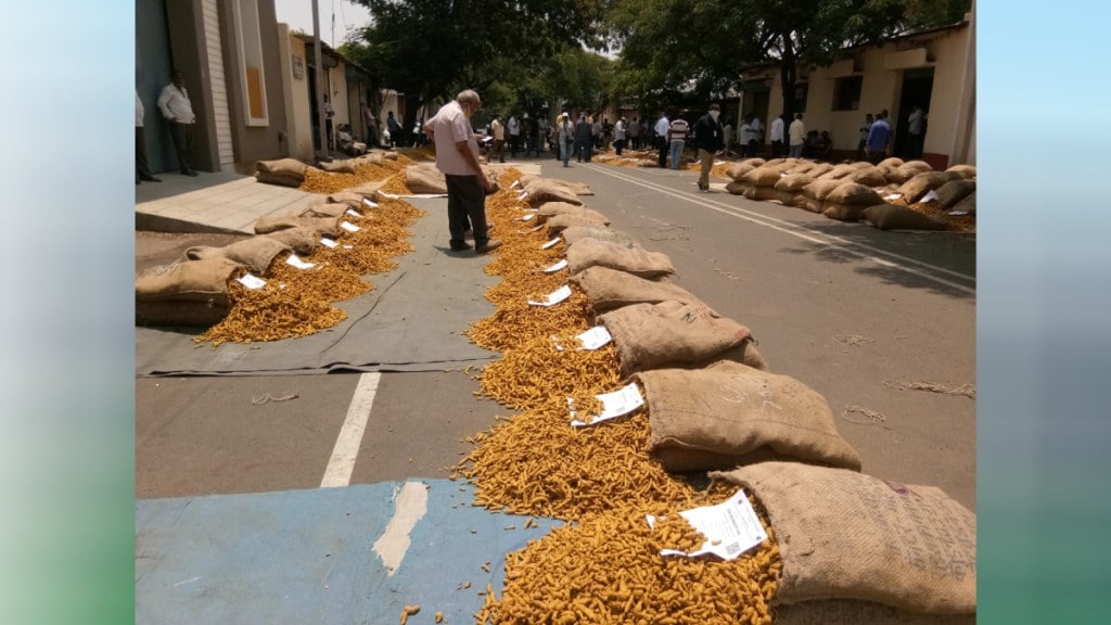 turmeric in Sangli market