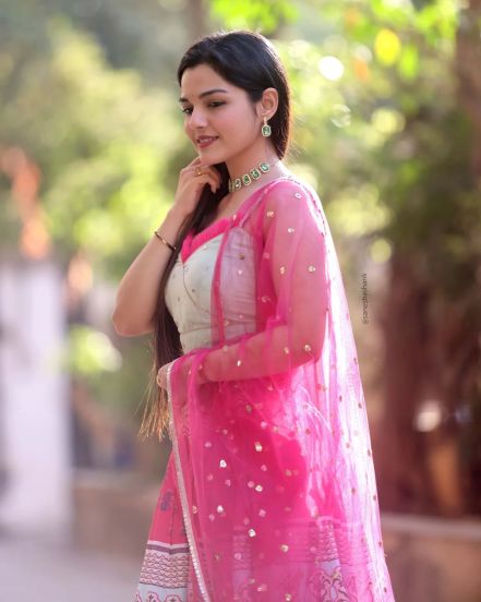 Aarya Ambekar Pink Dress