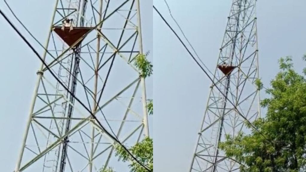 Attempted suicide by hanging on mobile tower man injured