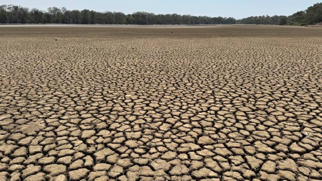 dam choke wetland