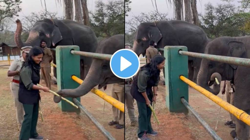 IAS officer meets The Elephant Whisperers Raghu In Elephant Camp in Tamil Nadu Watch Heartwarming Video