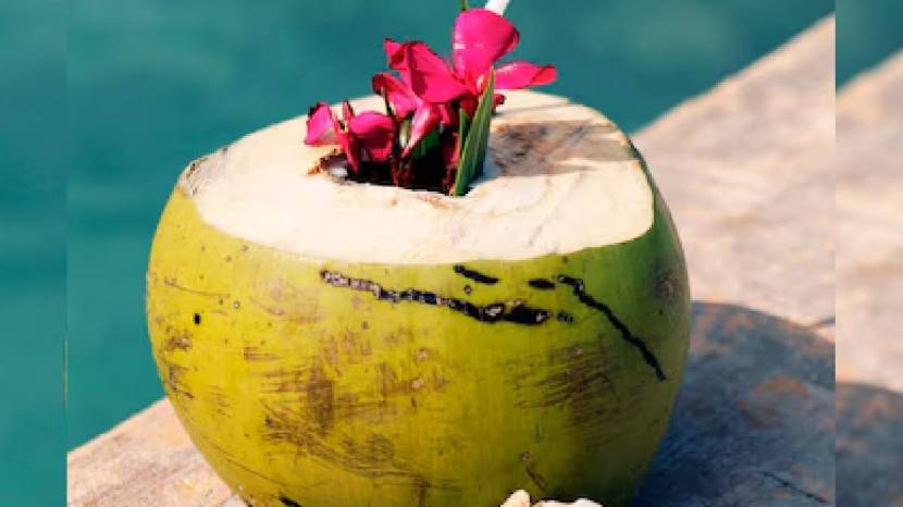 Is Drinking Coconut Water Good for You Here Are Side Effects You All You Need To Know