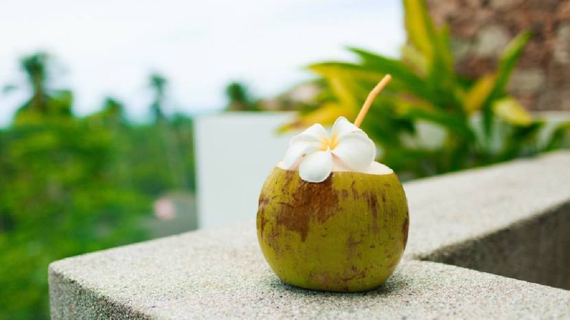 Is Drinking Coconut Water Good for You Here Are Side Effects You All You Need To Know