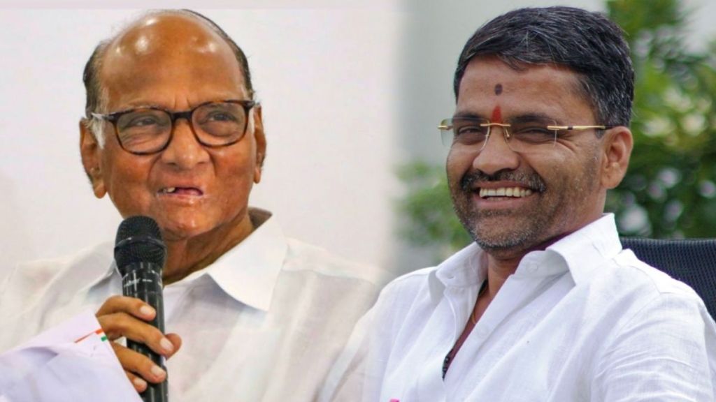 Sharad Pawar on Nilesh Lanke