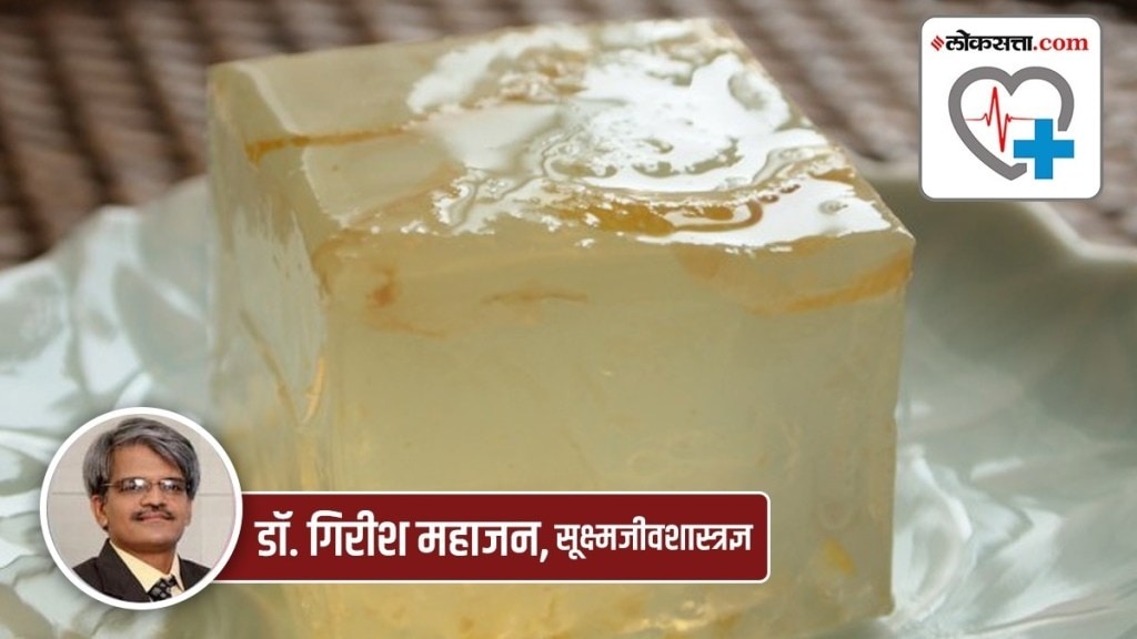 agar agar marathi news, agar agar sea food marathi news, agar agar veg seafood marathi news