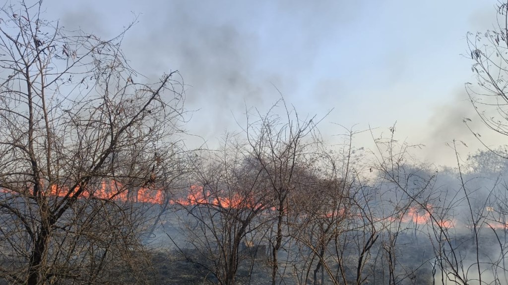 Fire in Forest Department Ambazari Biodiversity Park nagpur