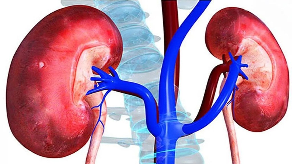 pune, maharashtra, four hundred, kidney transplant, waiting list patients, dying,