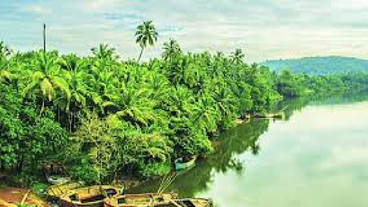 Road in konkan on a rainy day, India Stock Photo - Alamy