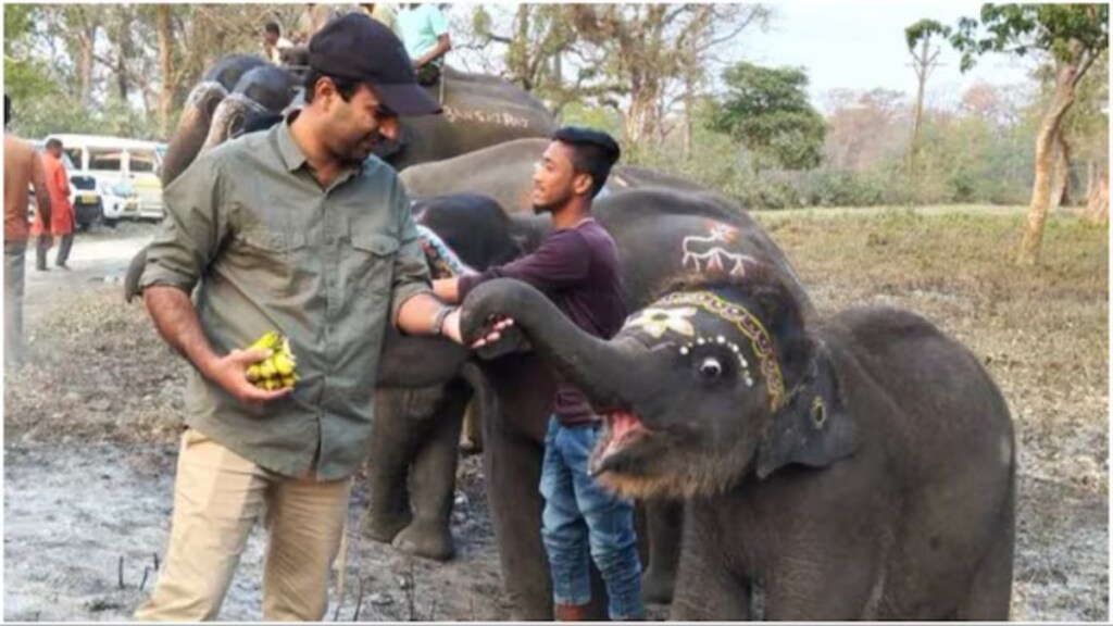 IFS officer shares adorable pic with orphan baby elephant Internet salutes him