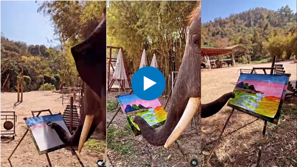 This elephant is taking a picture with its trunk You will not believe your eyes after seeing the beautiful picture of nature Video Viral