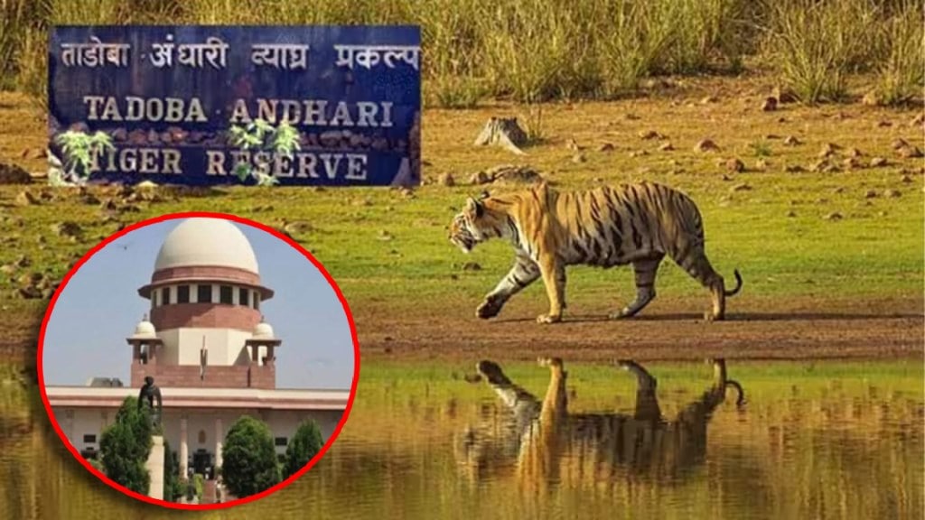 Supreme court questions the police regarding the accused in the Tadoba Jungle Safari ticket scam