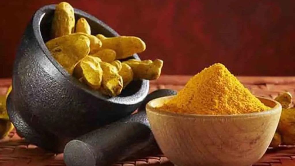 Highest price of 32 thousand for turmeric in Sangli