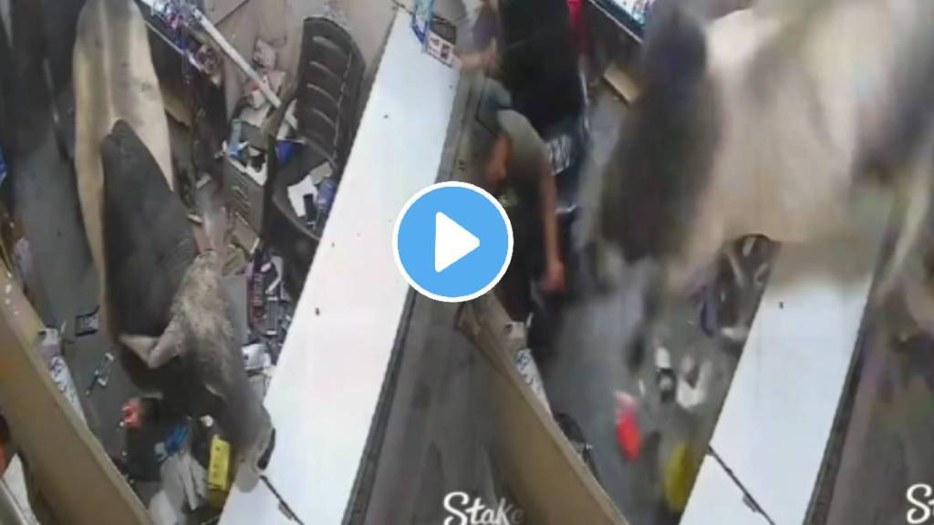 Bull jumps inside phone repairing shop people narrowly escaped death video