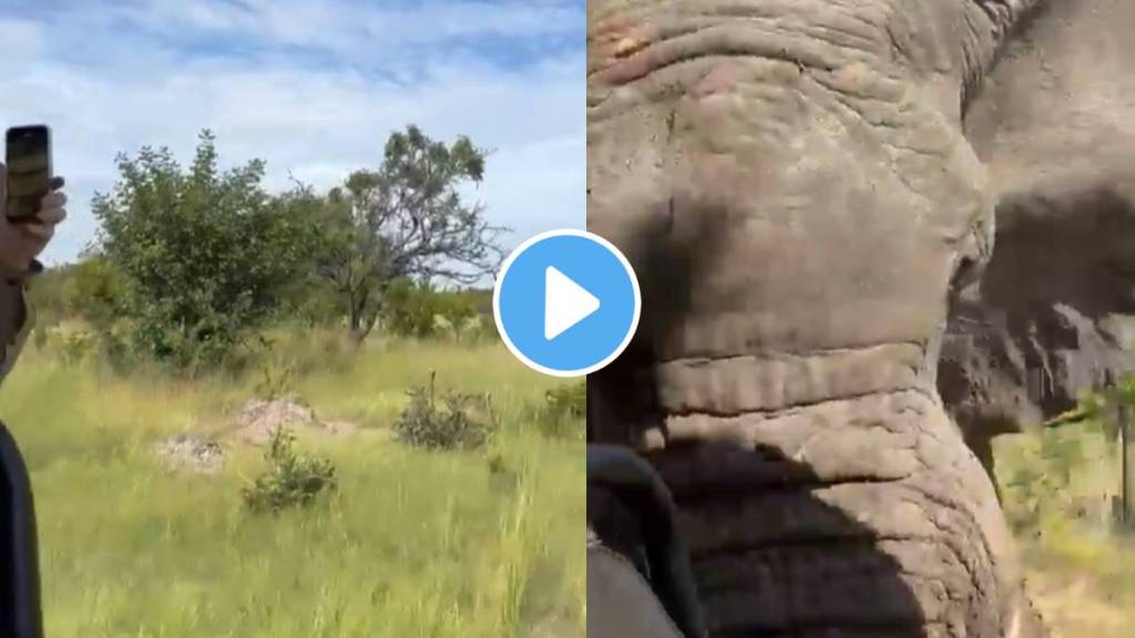 elephant attacks safari vehicle in Africa 80 year old woman dies after This Incident terrifying video viral