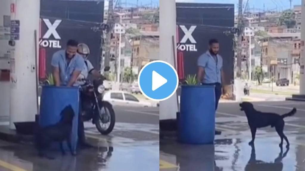 Viral Video Person Offering Relief To Stray Dog From Splashing Water To Beat The Heat Watch Ones