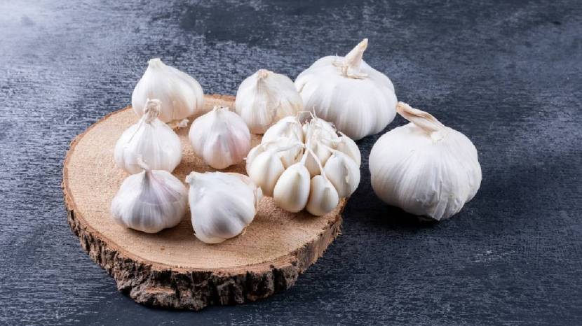 Can eating raw garlic reduce cholesterol Read what the experts say 100 gram garlic contains these nutrients 