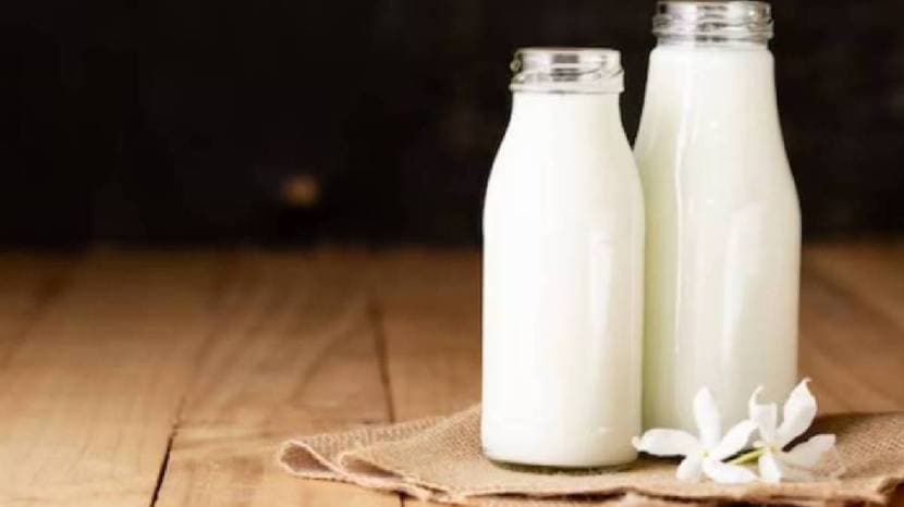 rich source of protein and calcium milk spike your blood sugar levels or not read what expert says