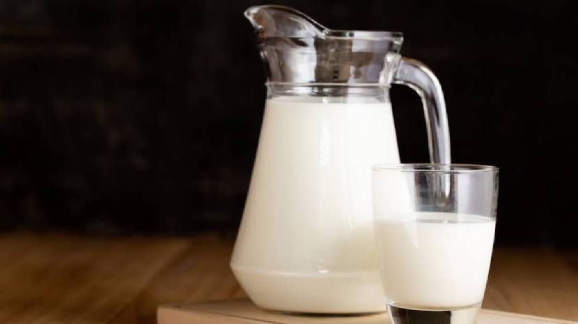 rich source of protein and calcium milk spike your blood sugar levels or not read what expert says