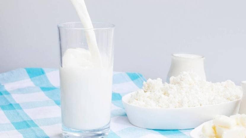 rich source of protein and calcium milk spike your blood sugar levels or not read what expert says